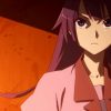 〈物語〉シリーズ 化物語