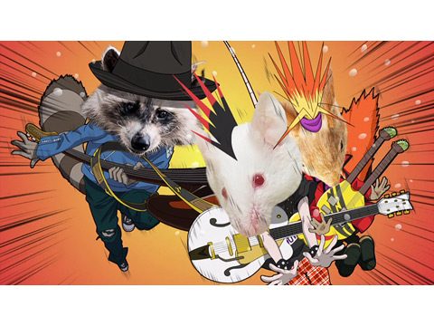 森のおんがくだん