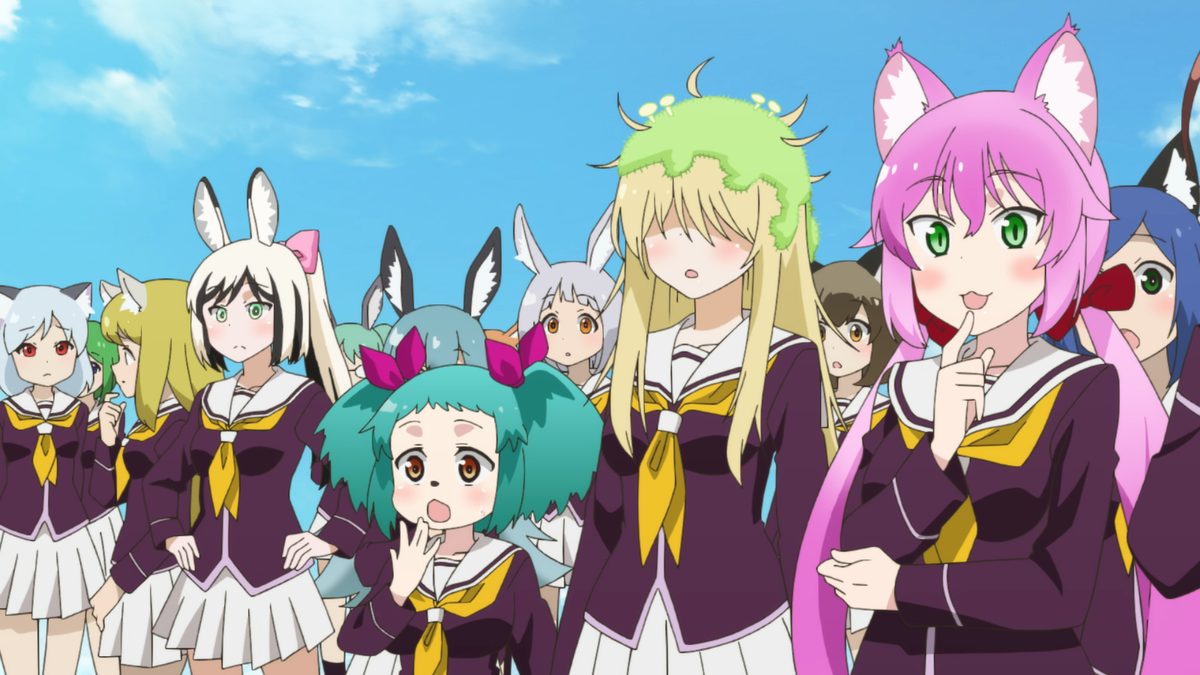 群れなせ!シートン学園