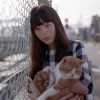 猫、かえる Cat's Home