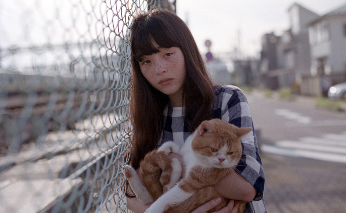 猫、かえる Cat's Home