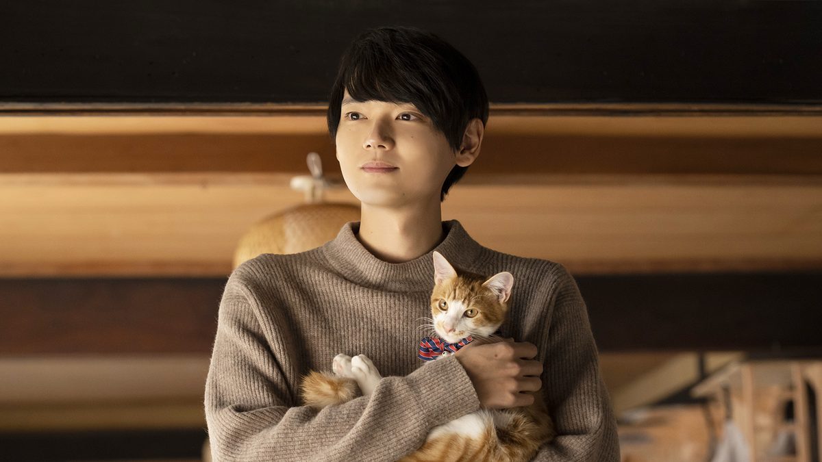 ねこ物件