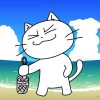 猫ラーメン～俺の醤油味～