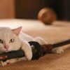 猫侍 SEASON1