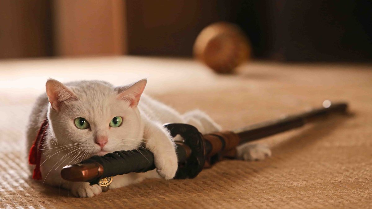 猫侍 SEASON1