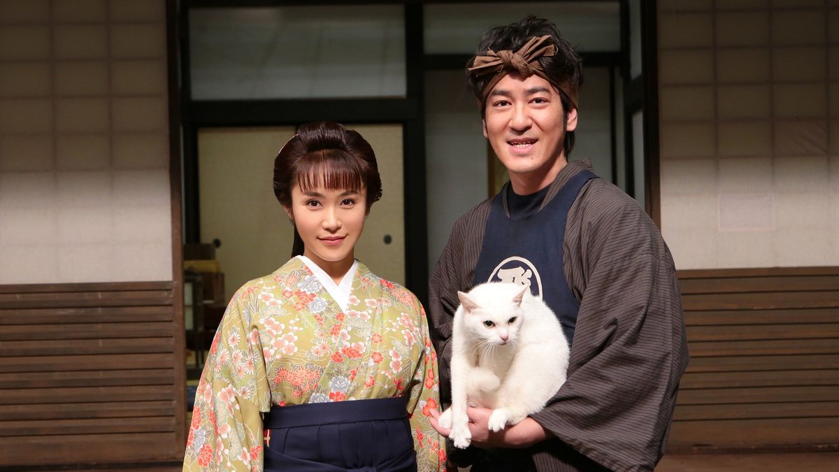 猫侍 玉之丞、江戸へ行く