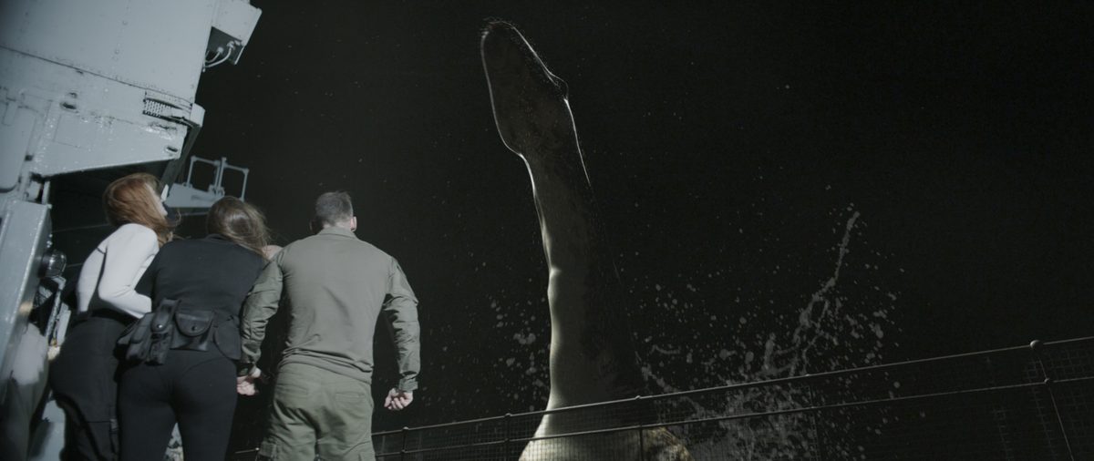 ネス湖の巨大生物　ネッシーを捕獲せよ！！