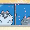 ンめねこ