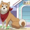 織田シナモン信長