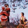 雄獅少年／ライオン少年