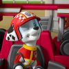 パウ・パトロール カーレース大作戦 GO! GO!