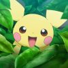 ポケットモンスター