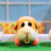 PUI PUI モルカー