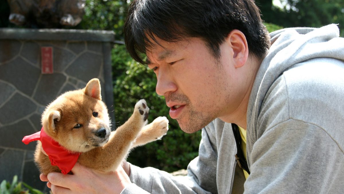 連続テレビドラマ 幼獣マメシバ