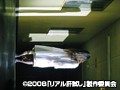 リアル肝試し