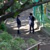 凌辱家庭教師の事件手帖