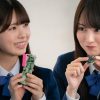 量産型ルカ -プラモ部員の青き逆襲-