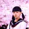 桜ノ雨