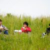 さそりとかゑる