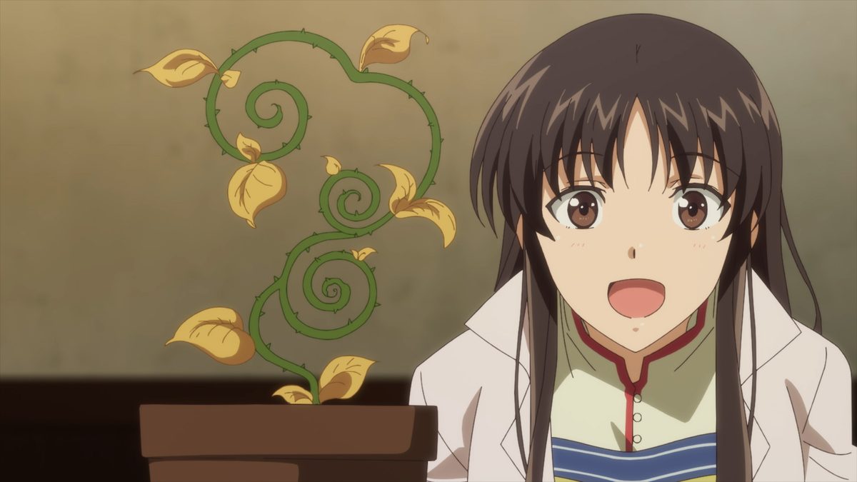 聖女の魔力は万能です Season2