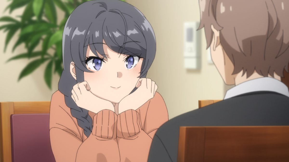 青春ブタ野郎はサンタクロースの夢を見ない