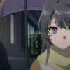 青春ブタ野郎はゆめみる少女の夢を見ない