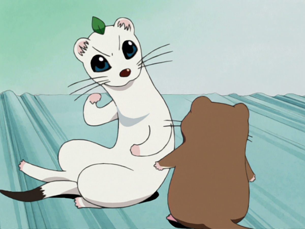 しあわせソウのオコジョさん