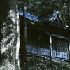 新解釈番町皿屋敷 お菊寺