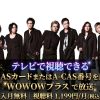 SIAMSOPHIA「2025 SIAMSOPHIA FINAL」Special Editionテレビ放送視聴方法