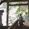 TAKAMINE〜アメリカに桜を咲かせた男
