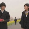 タマテバコ
