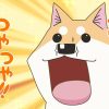 テレビアニメいとしのムーコ