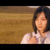 トリノコシティ