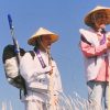釣りバカ日誌14 お遍路大パニック!