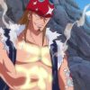 ワンピース シルバーマイン編