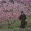 われめ岩　～六つ墓村のエロ事件～