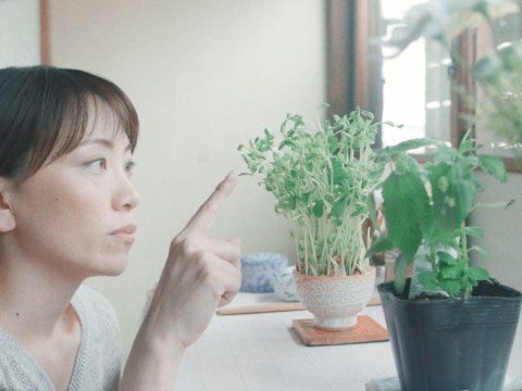 わたしが発芽する日