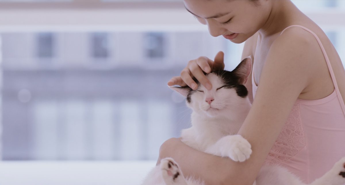 私と猫のサランヘヨ