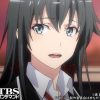 やはり俺の青春ラブコメはまちがっている。続