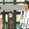 屋根部屋のネコ