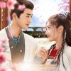 与卿書～桃花が決めた花婿様～