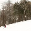雪海