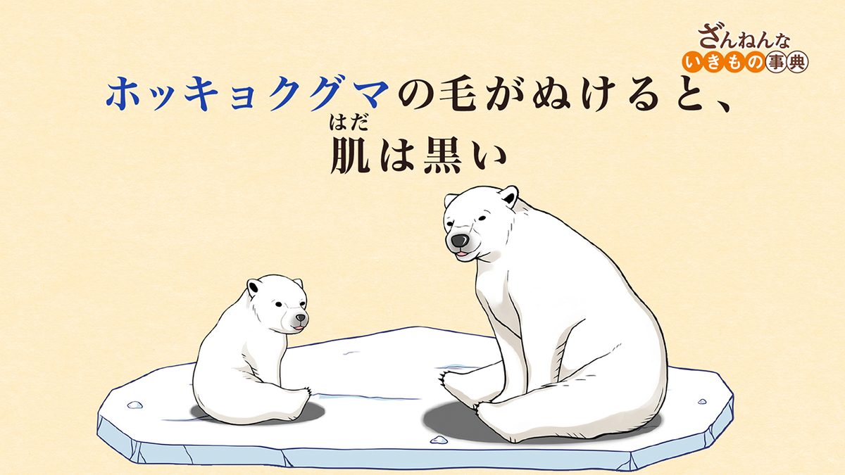 ざんねんないきもの事典 第３シリーズ