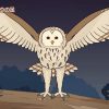 ざんねんないきもの事典 第４シリーズ