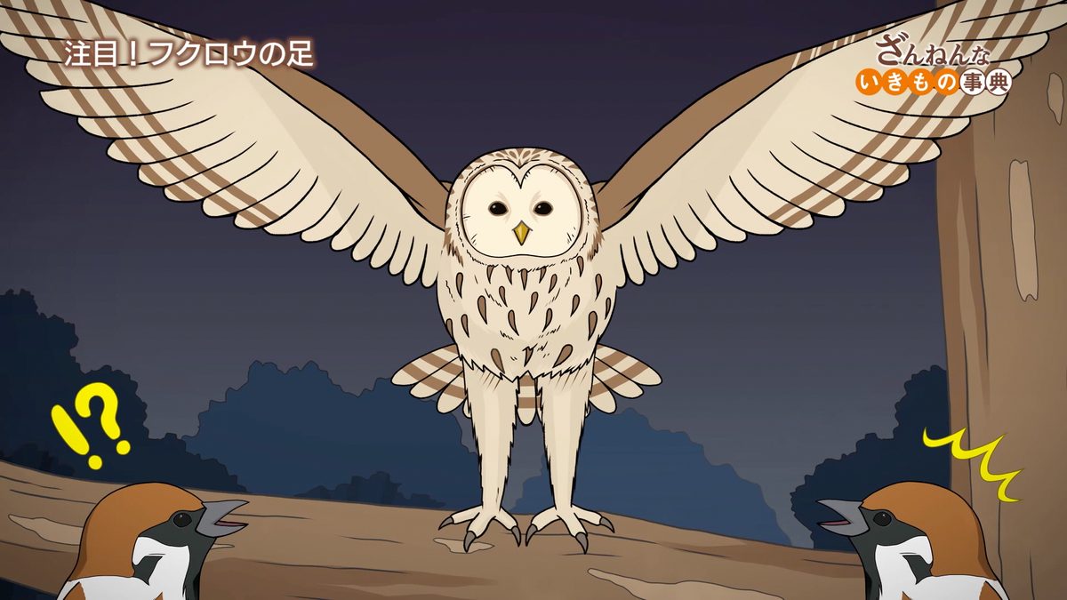 ざんねんないきもの事典 第４シリーズ
